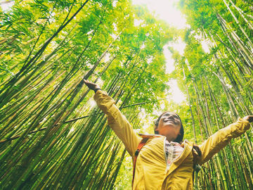  alt="Supporting sustainability in travel loyalty"  title="Supporting sustainability in travel loyalty" 